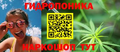 таблы Будённовск