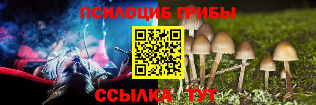 Псилоцибиновые грибы Cubensis  Вход с VPN  Севастополь 