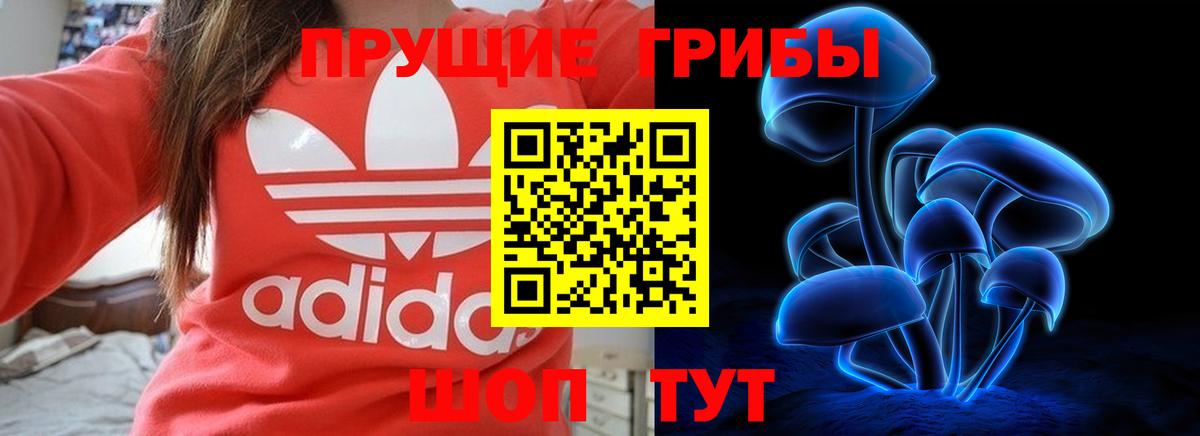 Галлюциногенные грибы MAGIC MUSHROOMS Севастополь